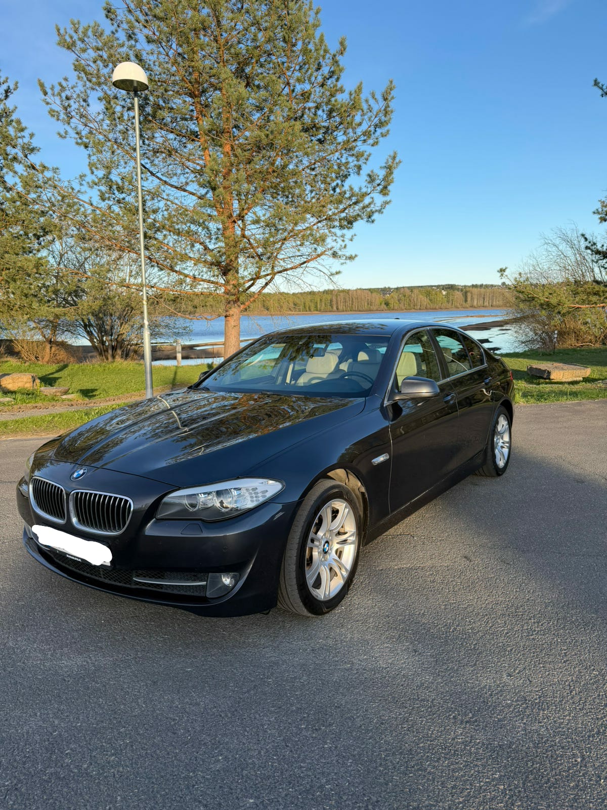 BMW Serie 5 520d 163 CV Automático 2010