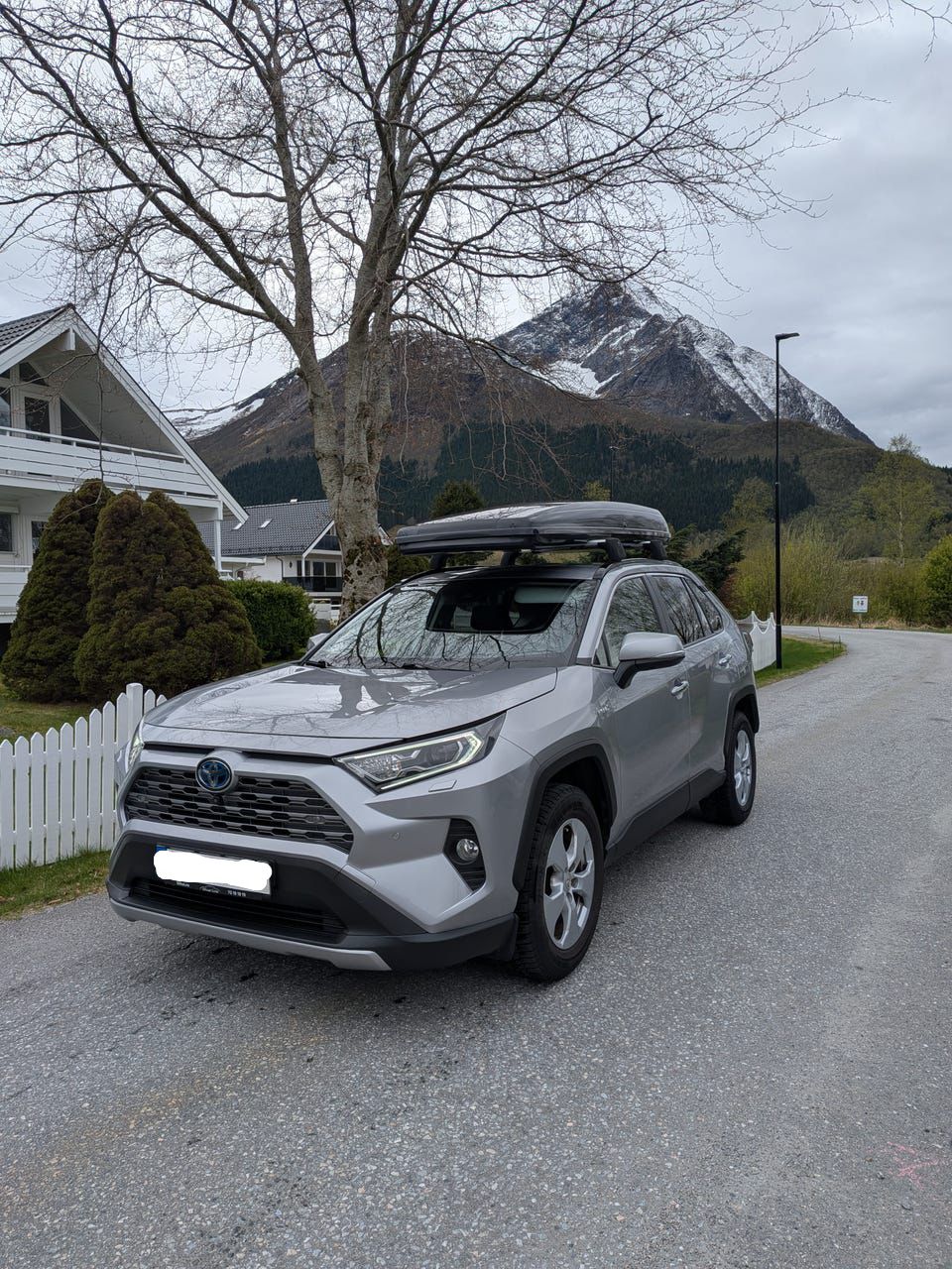 Toyota RAV4 2.5 Hybrid 4x4 222 CV Automático 2019